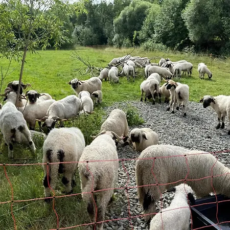 Namaste 빌라 자코파네
