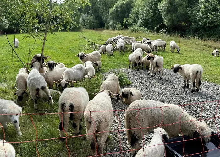 Namaste Villa Zakopane